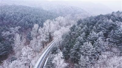 习近平主席特使、全国政协副主席巴特尔出席利比里亚总统就职典礼